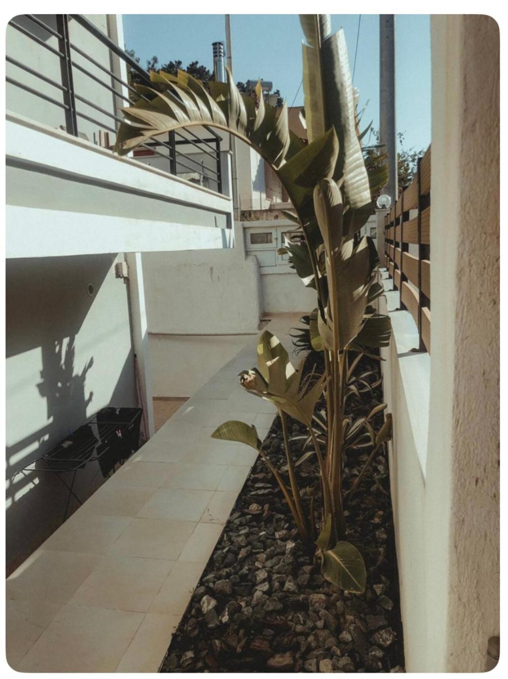Rosemary Modern House In The City Center Corinth Luaran gambar